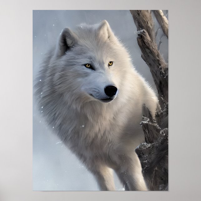 Affiche Beau Loup Blanc Art (Devant)