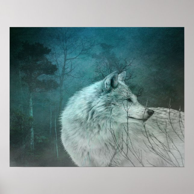 Affiche Beau loup gris dans une forêt foncée (Devant)