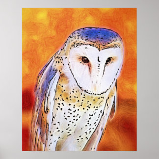 Affiche Beau Oiseau De Chouette De Grange À Visage Blanc