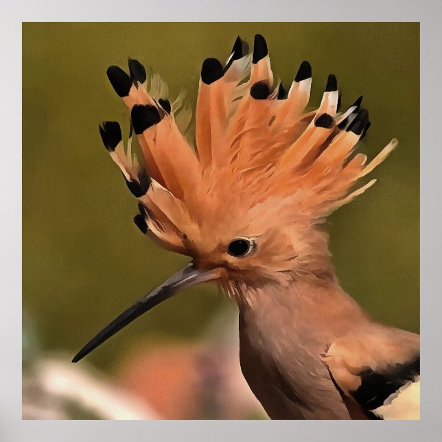 Affiche Beau Oiseau De Hoopoe Avec Couronne De Plumes (Devant)