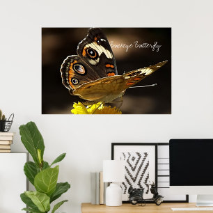 Affiche Beau papillon Buckeye sur une Fleur Jaune