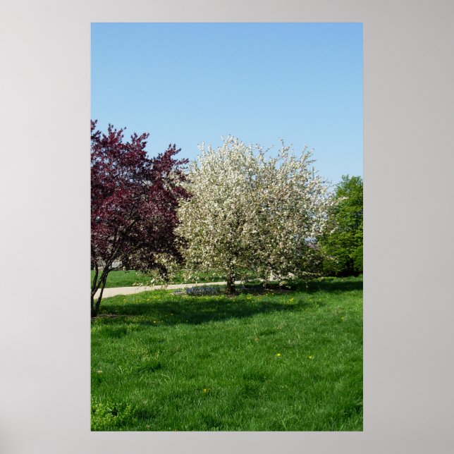 Affiche Beau paysage avec des arbres (Devant)