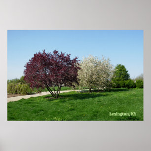 Affiche Beau paysage avec des arbres
