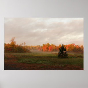 Affiche Beau paysage rural matin brumeux sérénité