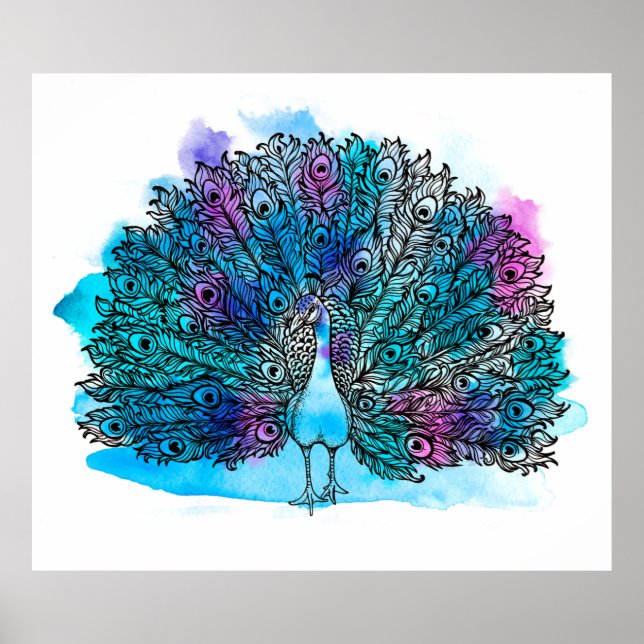 Affiche Beau Peacock Loisirs à main Composé de nombreux de (Devant)
