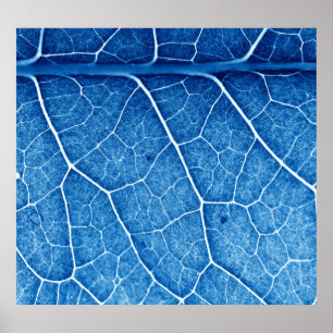 Affiche Beau Plante Closeup Texture Arrière - plan