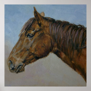 Affiche Beau Portrait Brown Horse