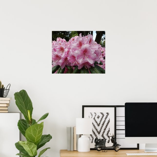 Affiche Beau Rhododendron rose fleurit Floral (Bureau à domicile)