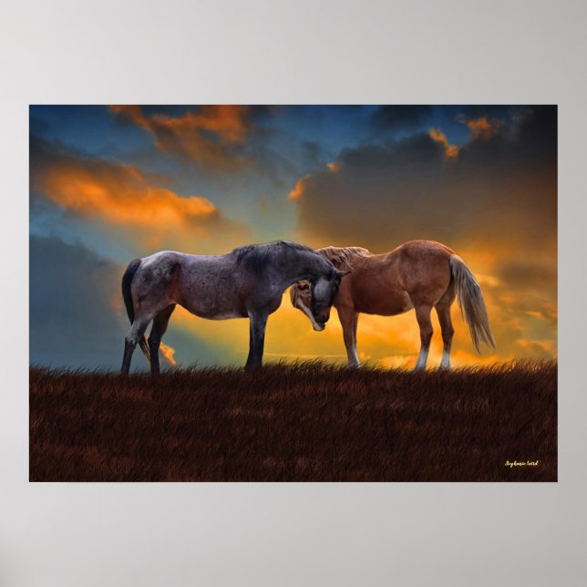 Affiche Beau Roan Bleu et Palomino Cheval Coucher de solei (Devant)