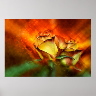 Affiche Beau Rose
