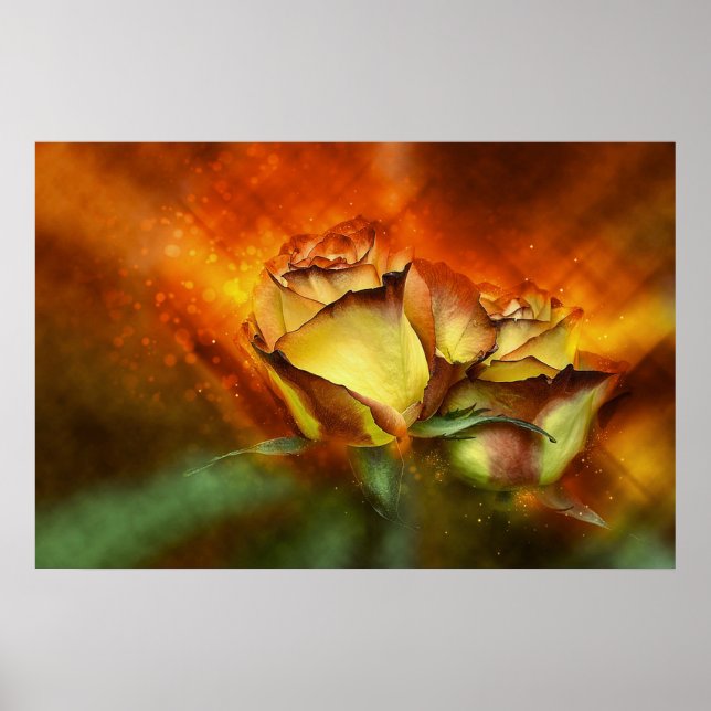 Affiche Beau Rose (Devant)