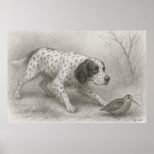 Affiche Beau Setter, Art