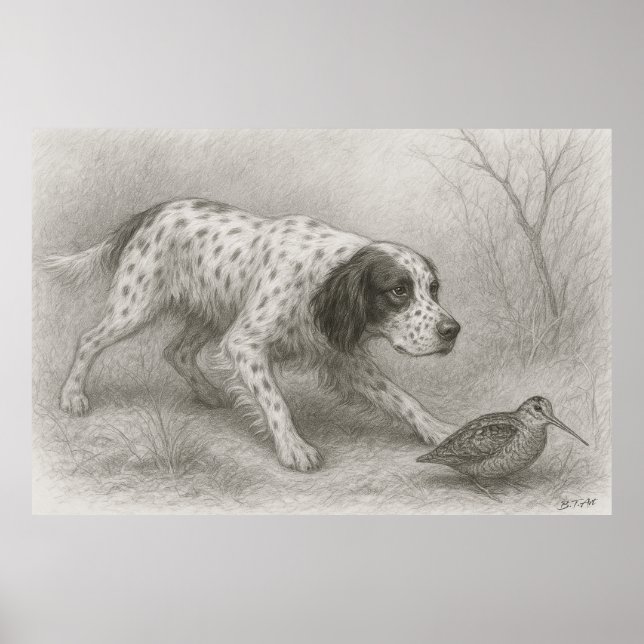 Affiche Beau Setter, Art (Devant)