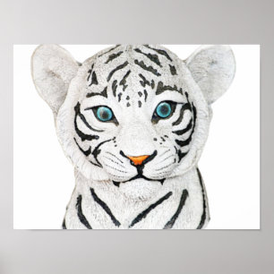 Affiche Beau Tigre Blanc Avec Yeux Bleus