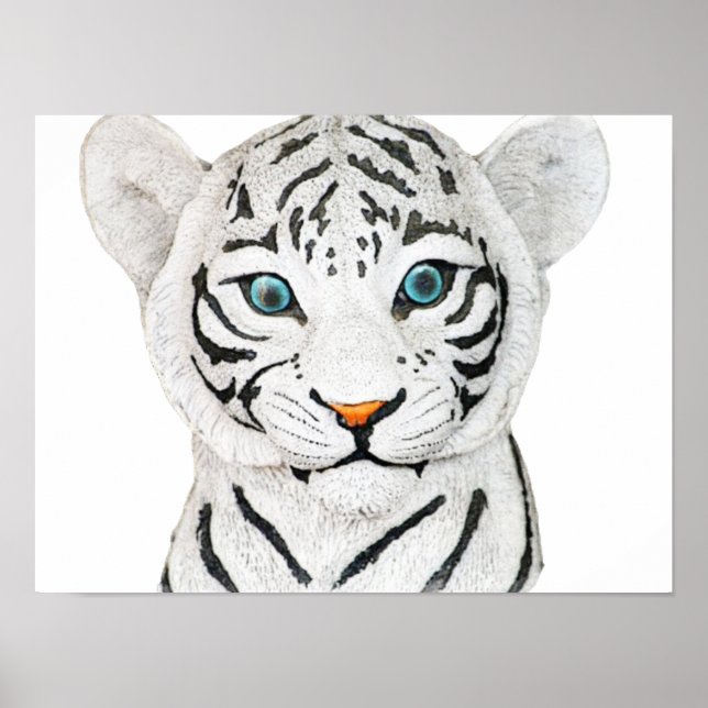 Affiche Beau Tigre Blanc Avec Yeux Bleus (Devant)