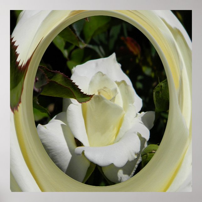 Affiche Beauté..... (Devant)