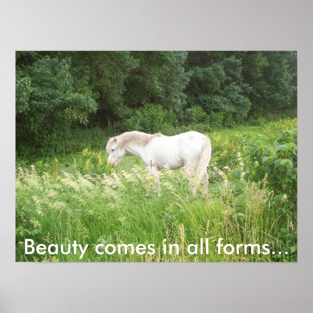 Affiche Beauté (Devant)