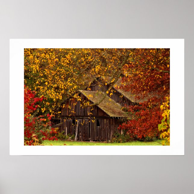 Affiche Beauté cachée. (Devant)