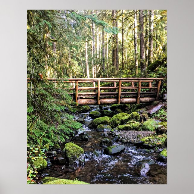 Affiche Beauté de la luxure // Eaux paisibles (Devant)