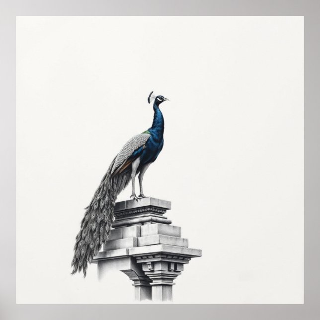 Affiche Beauté de Regal : Peacock Art (Devant)