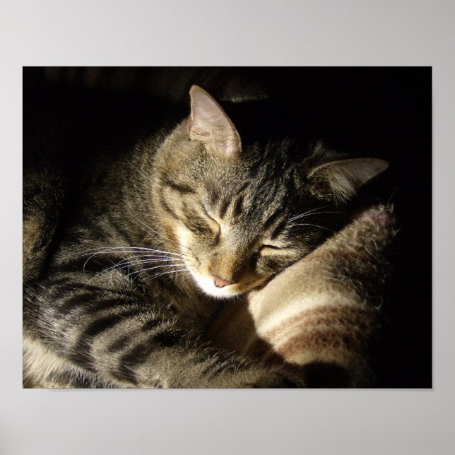 Affiche Beauté dormante (Devant)