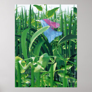 Affiche Beauté et bêtes