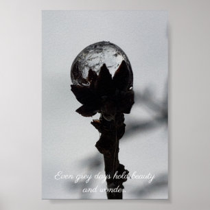 Affiche Beauté et émerveillement goutte de pluie gelée