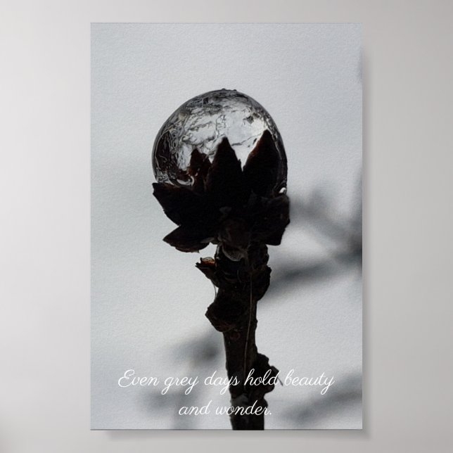 Affiche Beauté et émerveillement goutte de pluie gelée (Devant)