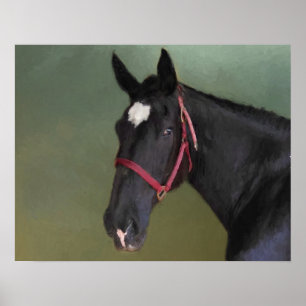 Affiche Beauté noire