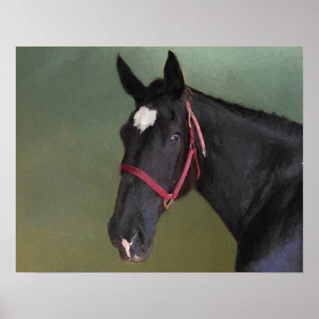 Affiche Beauté noire (Devant)