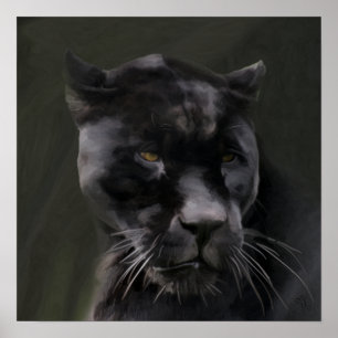 Affiche Beauté noire