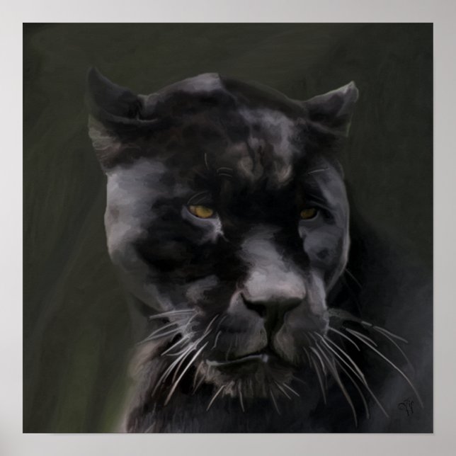 Affiche Beauté noire (Devant)