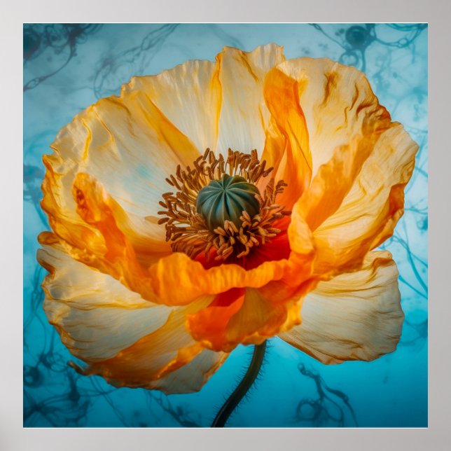 Affiche Beauté Orange  (Devant)