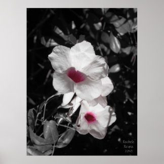 Affiche Beauté passionnante