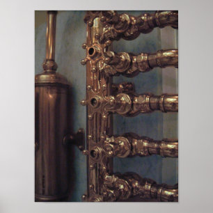 Affiche Beautés en cuivre