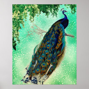 Affiche Beautiful Blue Peacock Nature Bird Tail Vintage