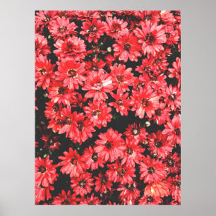 Affiche beautiful flowers of red color, flower pattern, be