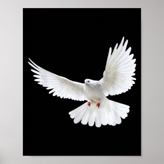 Affiche Beautiful Flying Peaceful White Dove Photo Silhoue (Devant)
