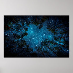 Affiche Beautiful night sky, Milky Way and the trees. 