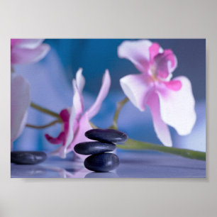 Affiche Beautiful Orchid , Zen Stones