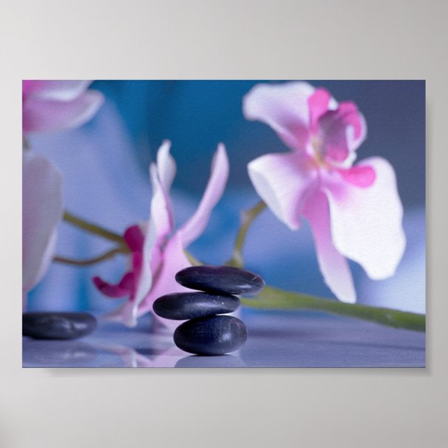 Affiche Beautiful Orchid , Zen Stones (Devant)