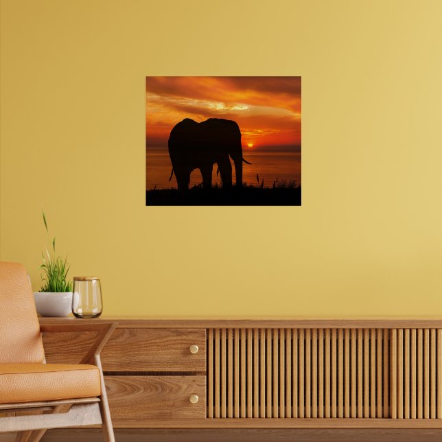 Affiche Beautiful Sunset with Silhouette of Elephant (Salon 2)