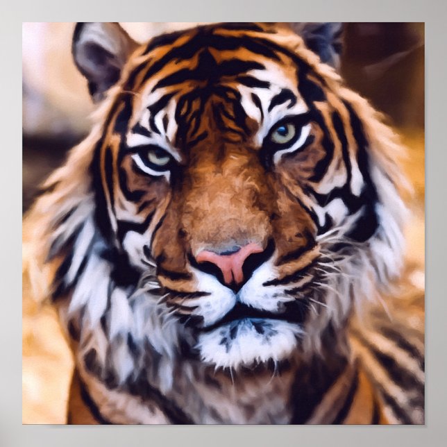 Affiche Beautiful Tiger Cat Face Painted Wildlife (Devant)