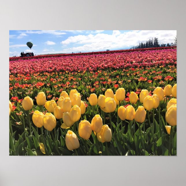 Affiche Beautiful Tulip Field avec Hot Air Balloon, Oregon (Devant)