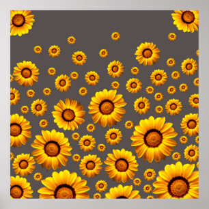 Affiche Beautiful yellow flowers on gray background 