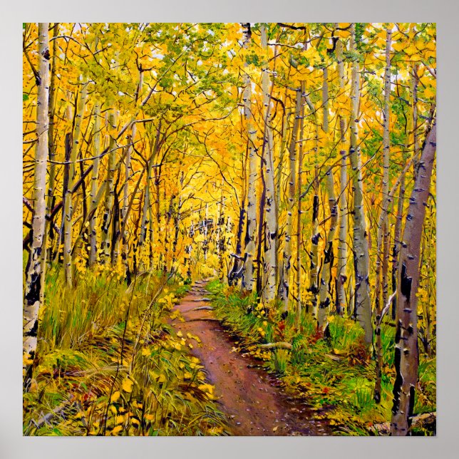 Affiche Beaux arbres d'Aspe en automne splendide (Devant)