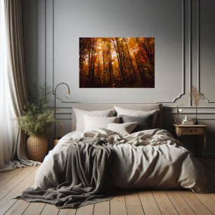 Affiche Beaux arbres majestueux dans la forêt automnale