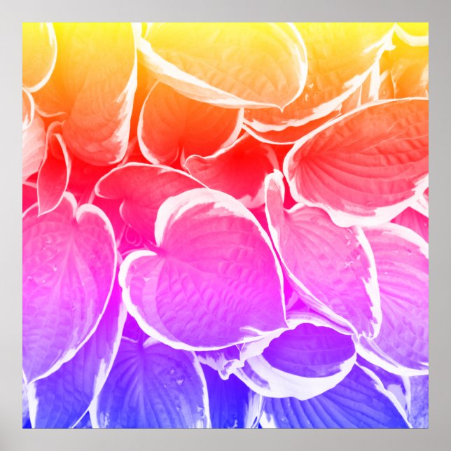 Affiche Beaux-arts de feuilles (Devant)