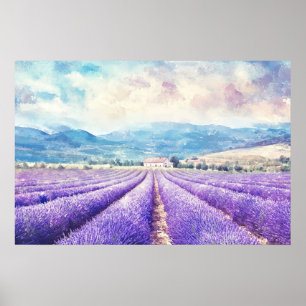 Affiche Beaux champs de lavande