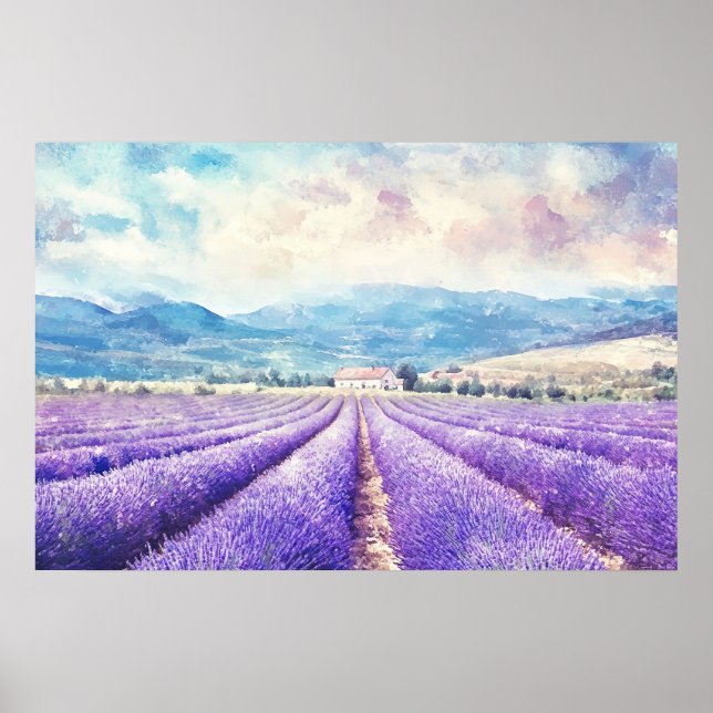 Affiche Beaux champs de lavande (Devant)
